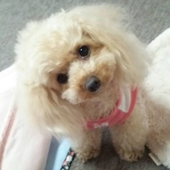 4255ba47 4d7a 4602 b7cb 9e0eb337b23e 1527687507387