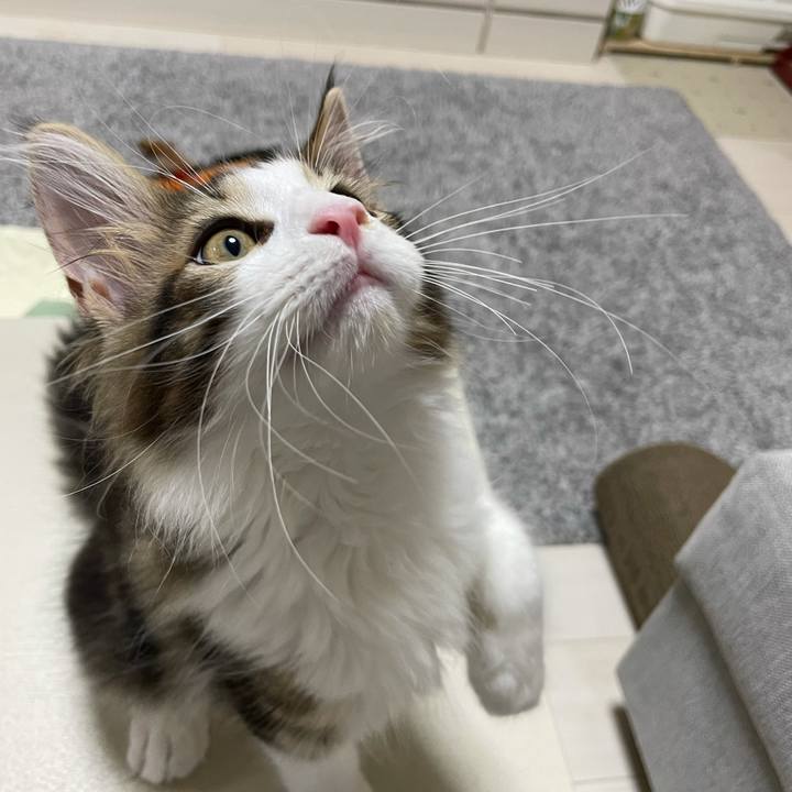 4255c534 c671 4c2a af80 4b3b8ed61aef 1632861394278