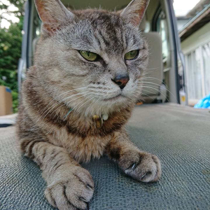 4255eda4 b0bf 4669 b0a7 3999decfffe9 1564291403104