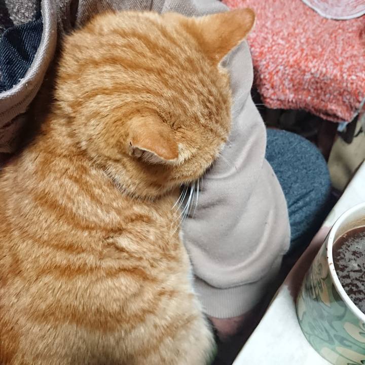 4256344c 817d 48a3 bae6 efcd306a7f0f 1580241618649