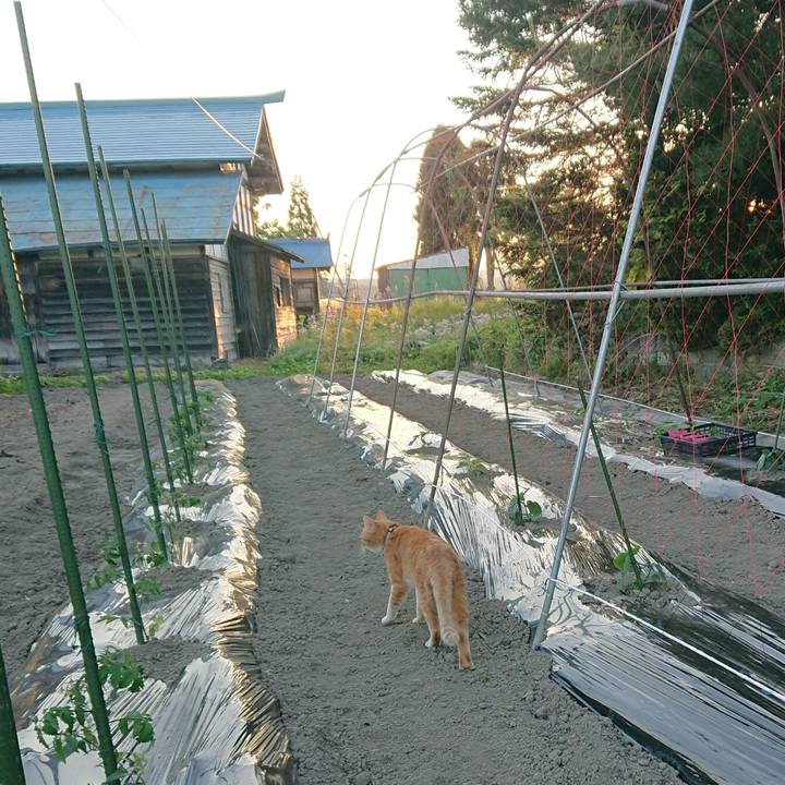 4256719e 3b53 435a a362 58883aa390e5 1590831928135