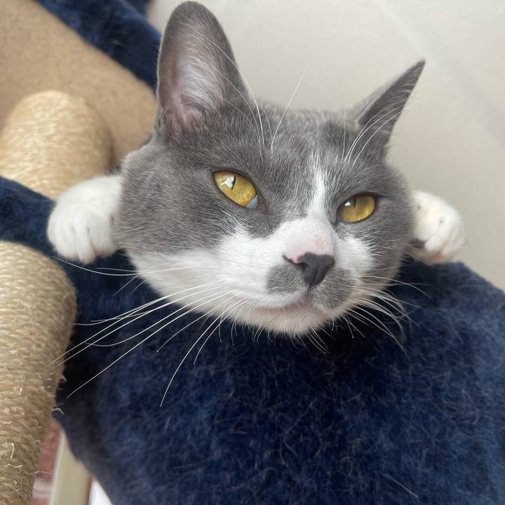 42568f06 d3f8 43a4 a9ea c42dc85ed8bc 1640916513199