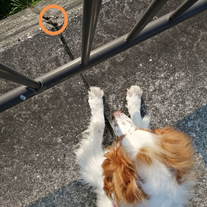 4256adeb 5a78 4601 8847 d497edf1aab5 1588150308928