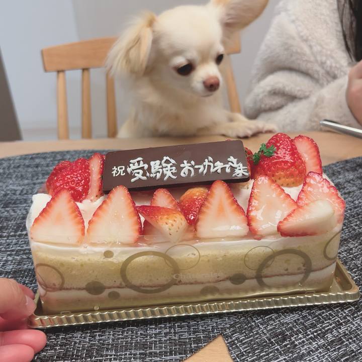 4256aec2 a613 47a5 85d1 aa219cc7e7b3 1708558365201