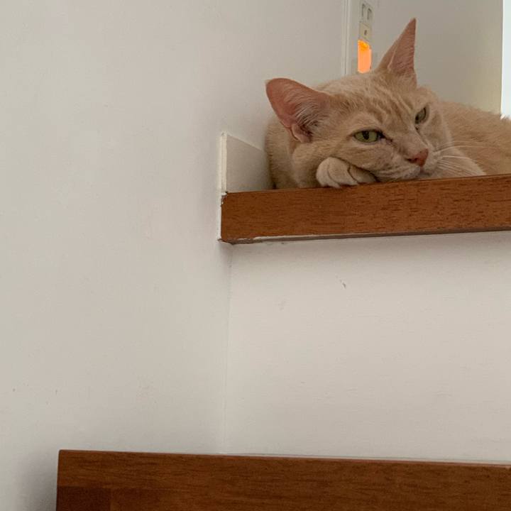 4256c1d7 b507 4371 a71c e60f4880dd55 1625216108088