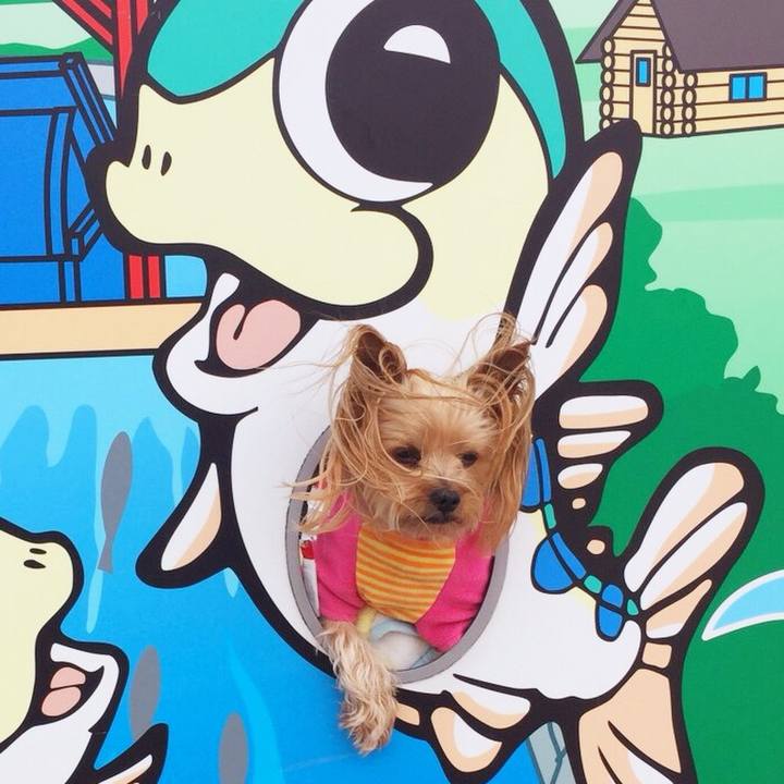 4256dbbe 0164 40e6 a45c 5ab4f1134702 1523610029393