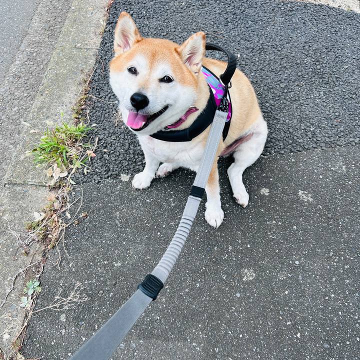 4256e86f 44d1 4f7e 8428 597de8191ee2 1729143393265