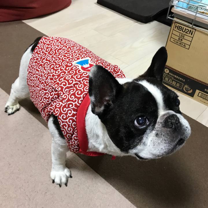 4256e8e5 86d1 4cf4 9d96 1b2cf411a111 1509154742281