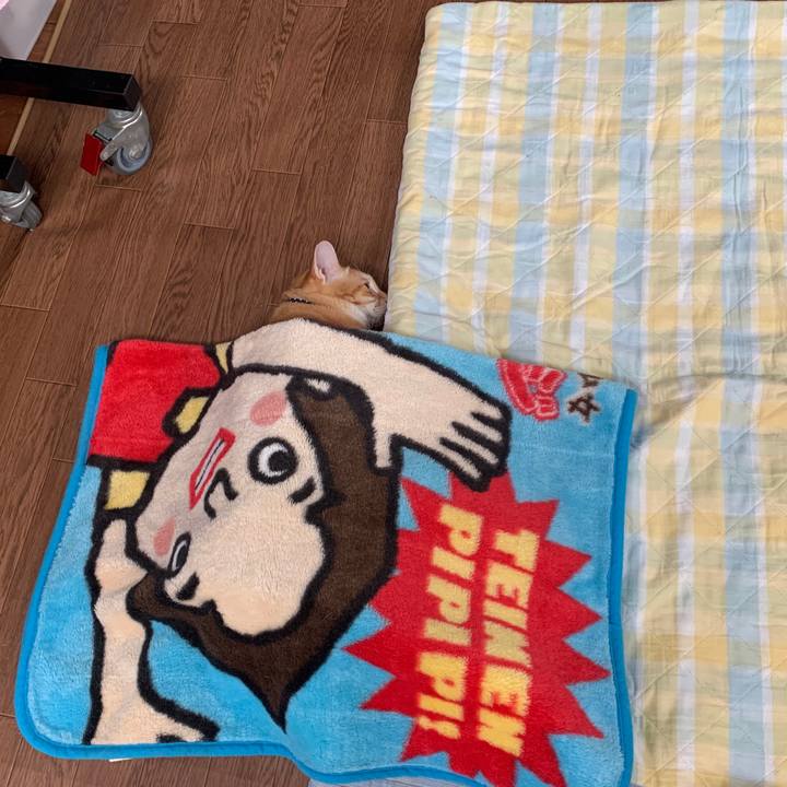 42571001 bc34 4224 b9a4 ef47c58158a6 1592695202527