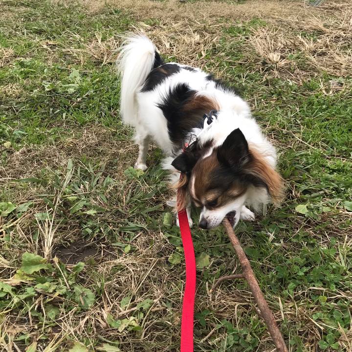 42572b0b b8c9 45e2 b327 73de0e85ddff 1575944512121