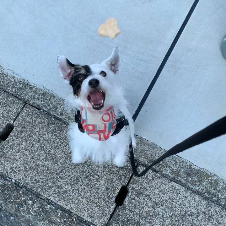 425756a1 8ee9 4240 bc98 13f3fa92ace0 1756681157752