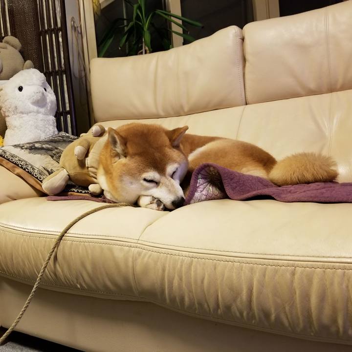 4257743a 092a 4a66 9090 20be1dc40d0e 1571743273614