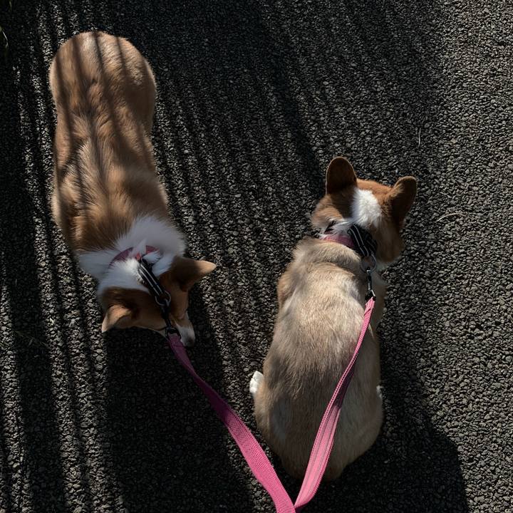 42578d8a 71f3 4396 8ba4 6716bf2df022 1564092959635