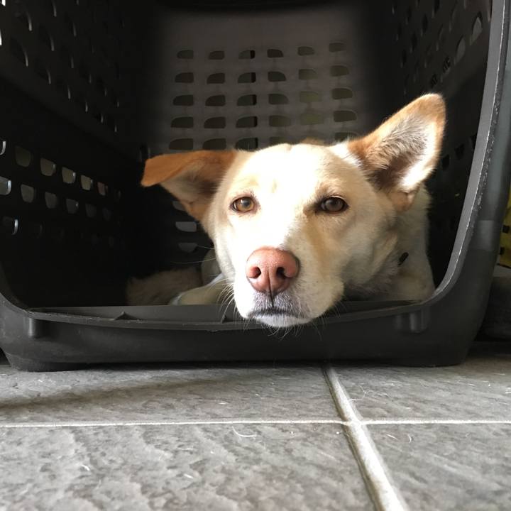 4257902a 4ee4 4126 8fd4 e659688dc745 1523072389762