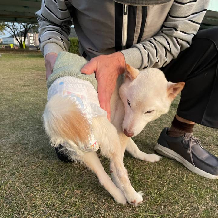 42579ad8 51eb 45ba 971f dff49a686d4d 1668508974319