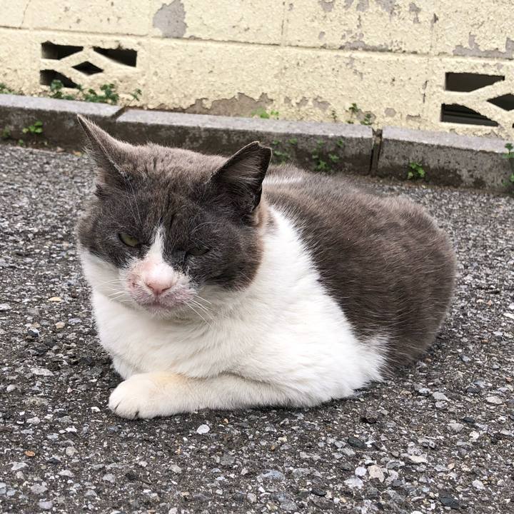 4257ab22 996d 456c 9e73 6b0a4d08fa91 1649601842764