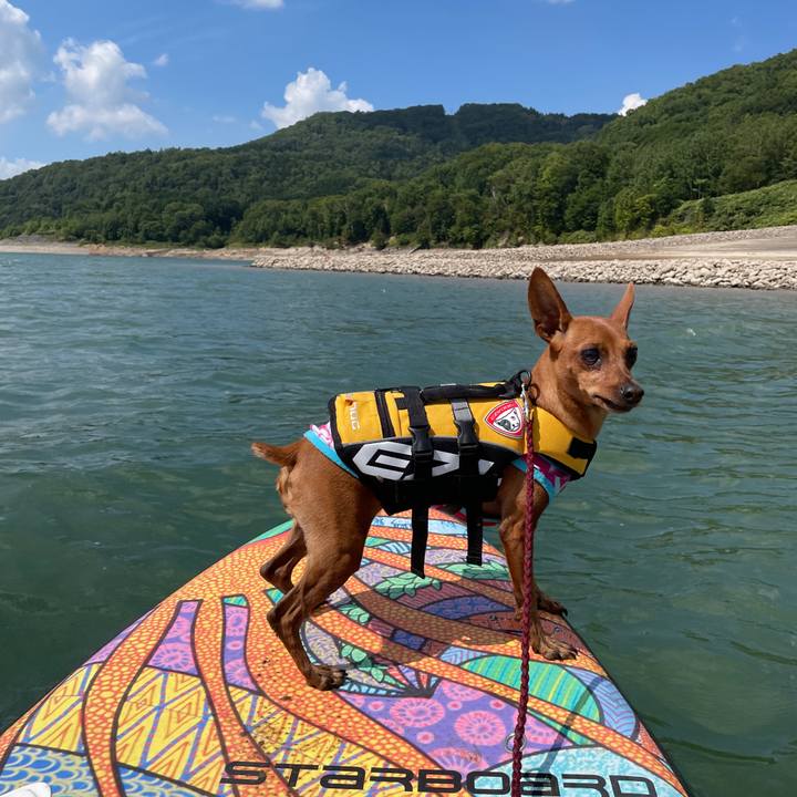 4257b159 6d01 4e21 b849 c935752c33ad 1631354403767