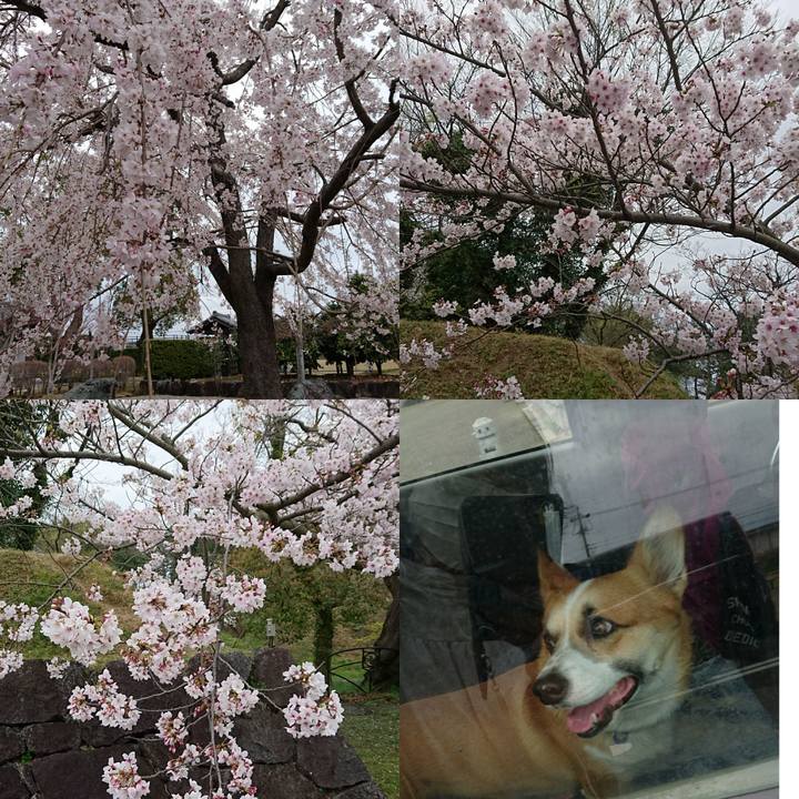 4257d5f1 6e16 4576 b278 2ff60c22e9f9 1616918301701