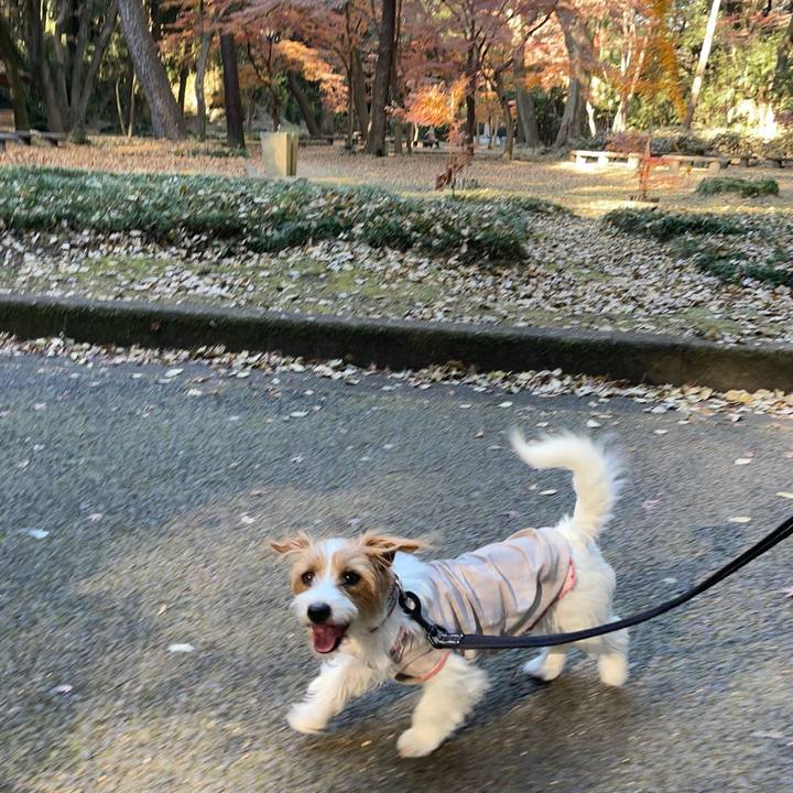 4257d6f8 306b 4511 827a 85432274362b 1765453804226