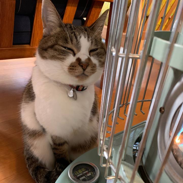 4257f630 e510 4cca a7b7 7e582a26285d 1609717778906