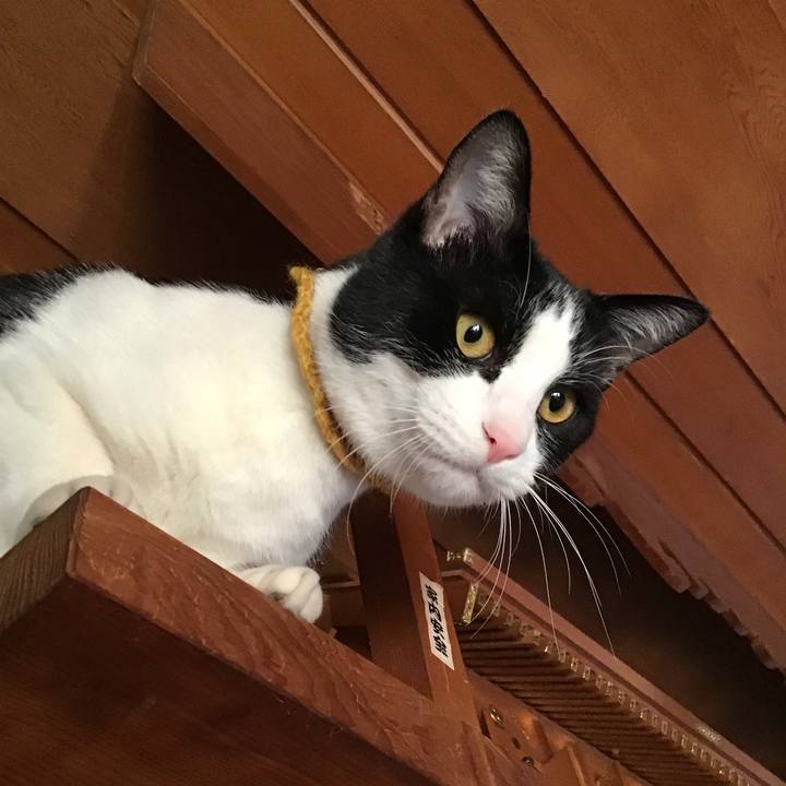 42585a5c 2cb8 4cc9 a85b 7750aeb5c13d 1645950283377