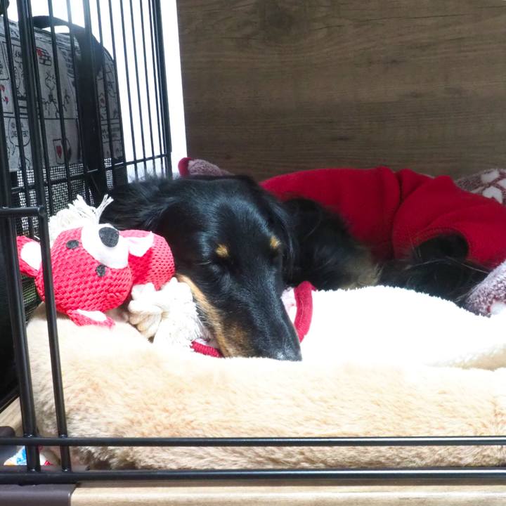 42585bac 510c 41c5 8118 0bc974914f31 1700282898015