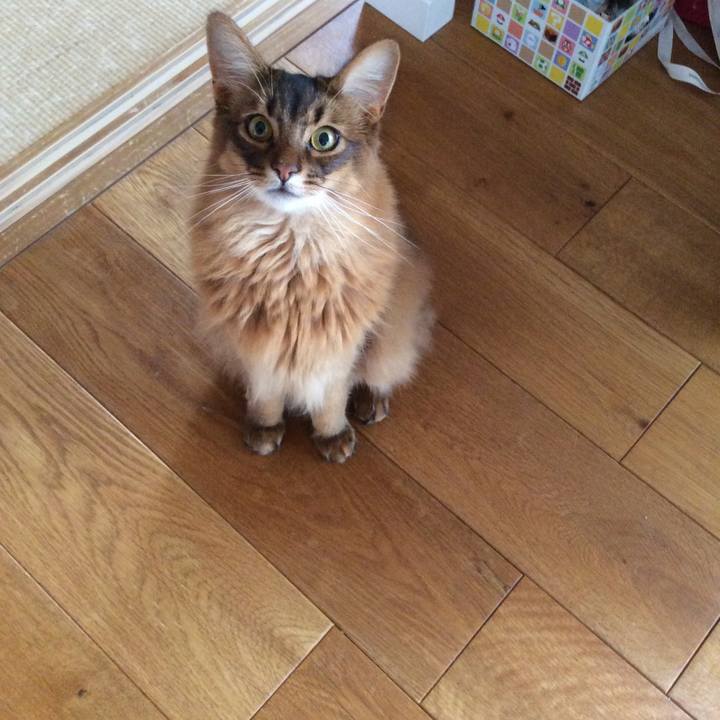 42586ae5 80d5 4975 838a 93252b7b056f 1623967125429