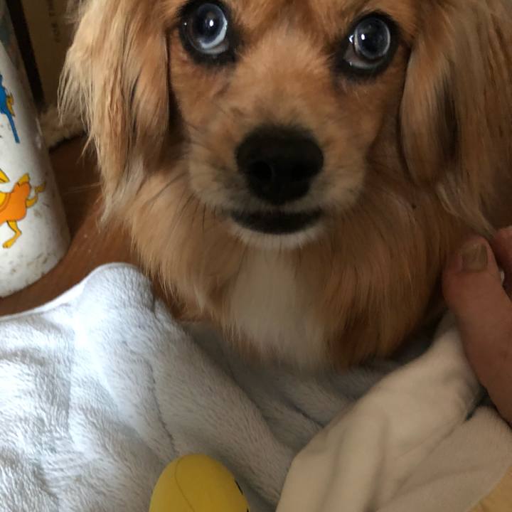 4258785c 783f 4b30 8777 6ca67a32f061 1526182956411