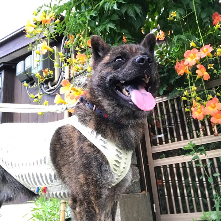 42589d1a c535 4060 a6ff 0d925b87a475 1532738874159