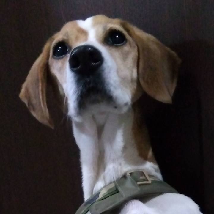 4258c42b 2072 43d1 bb9b 2549261eb8ed 1674392432982