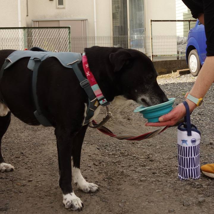 4258ef4a 3b95 4fdb 9181 fe20fd44430c 1747269736703