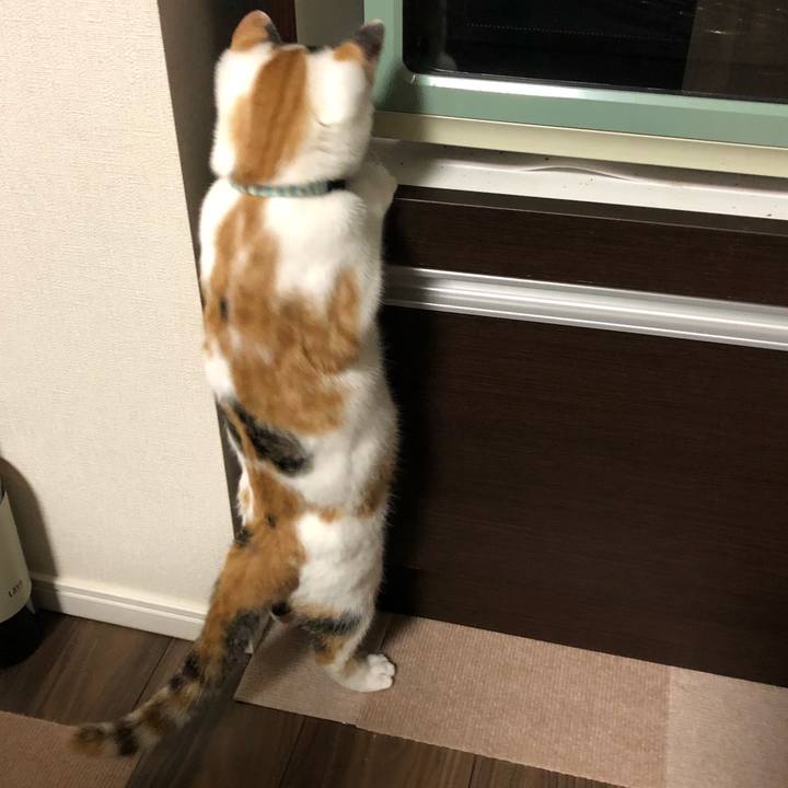 4258faf1 d8ae 4515 873f a57fecfba597 1567427043846