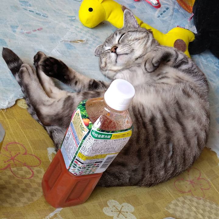 4258fe5b 9523 4ebe 8b70 dfe4ce8a32a1 1617163925377