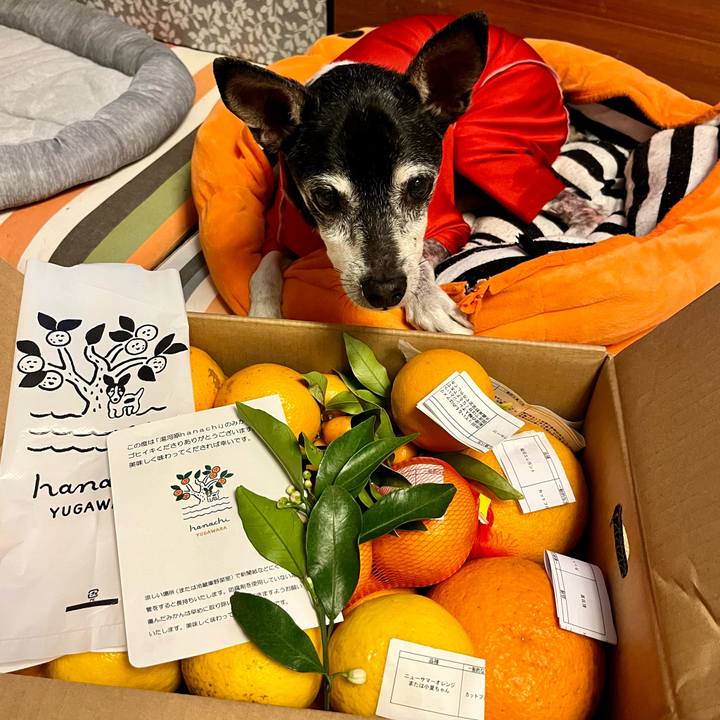 42591f7b 6dbd 4f17 a3db 096ca55a39fe 1651836674392