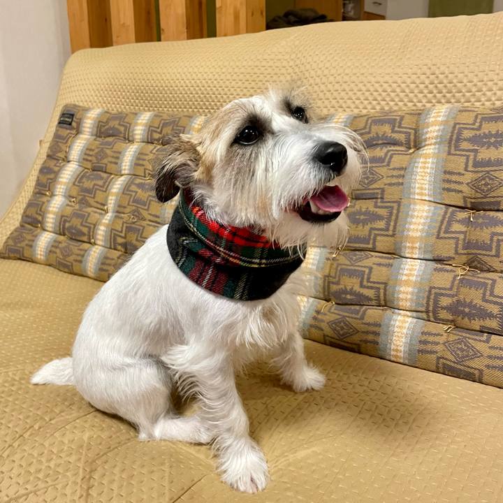 425957e1 86b0 4b14 85e3 3bfd6320bbd8 1668942978227