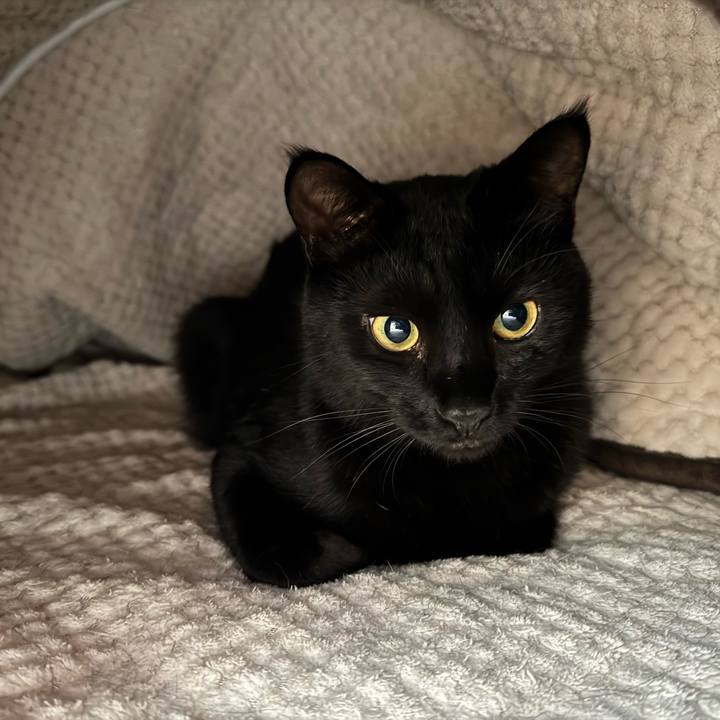 4259cb6a eb4b 4d1a 9e4c 75be7f814c3f 1746308410865