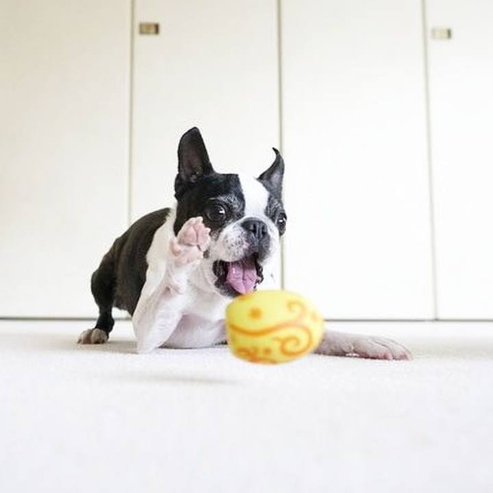 4259d5ac c5e6 4caf 9f44 cea731e58da8 1523851463990