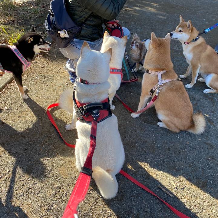 425a0749 6354 4545 9e71 591bfe1e2246 1640052686479