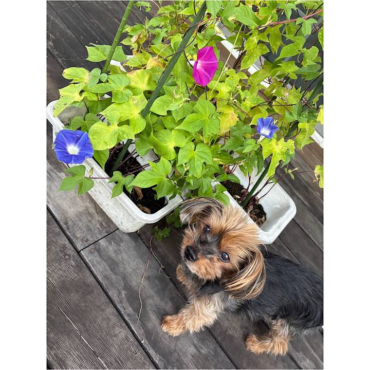 425a0f7b fb04 4cb7 a300 68e46d4d4595 1756860846607