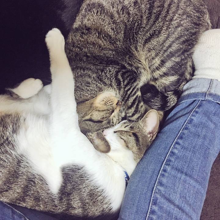 425a1ffb 6faa 43b7 a308 7336133853bc 1519117252863