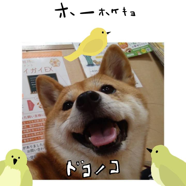 425a291f bb6d 4d70 90c9 c963ac23e04e 1711172818413