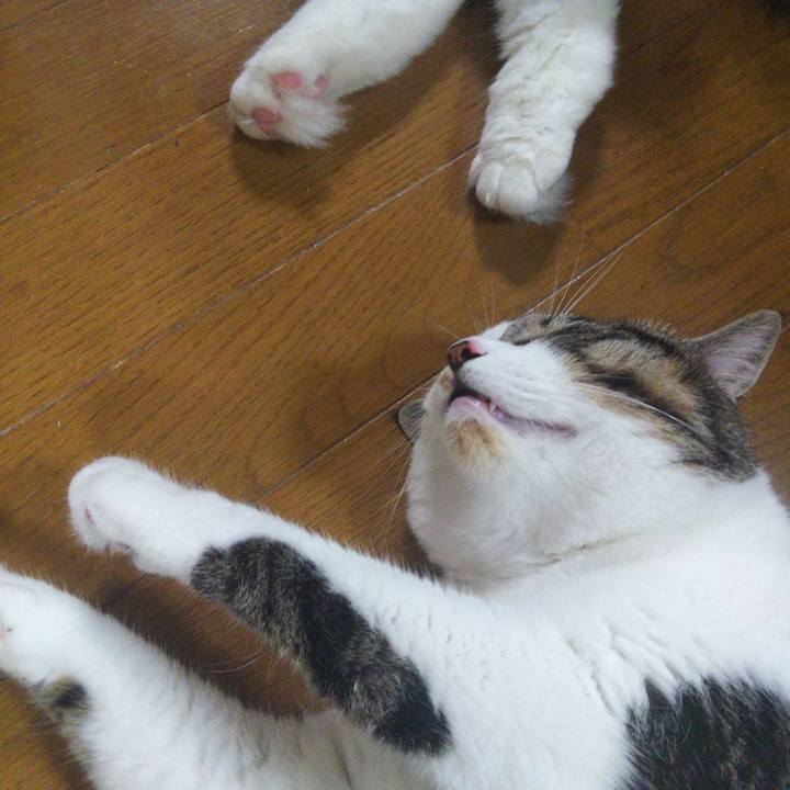 425a7595 d8fa 4888 a9a7 6035d6fcbddd 1662339430340