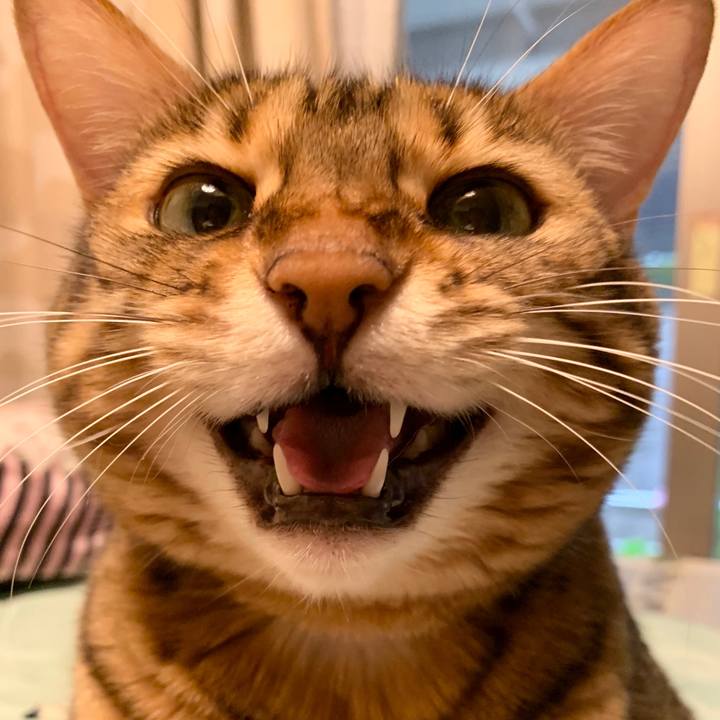 425a7dfe 3b01 4694 8a23 4e9164f6a2b3 1595460494654