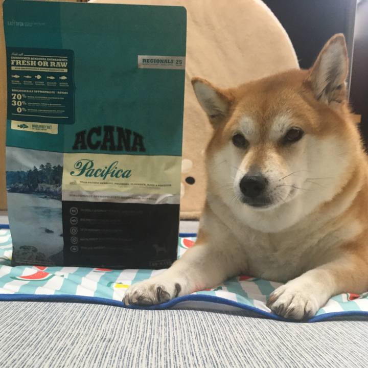 425a8559 22e0 46aa 8ce4 2eeedb1eae16 1628320959359