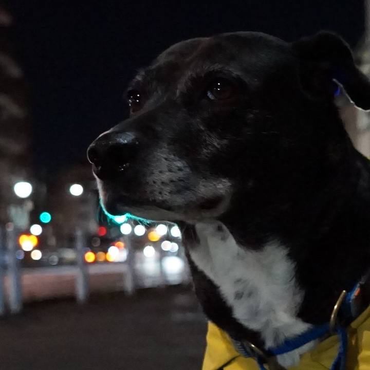 425aa558 eb38 422a a187 517dccb55984 1768129621155