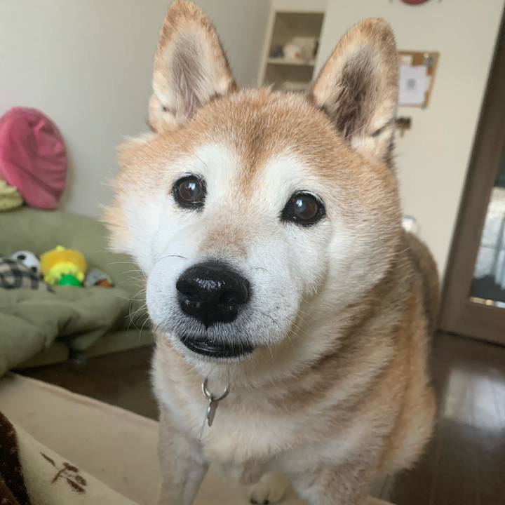 425ad636 f18b 45c2 836c 5a43df8b610f 1584231879832