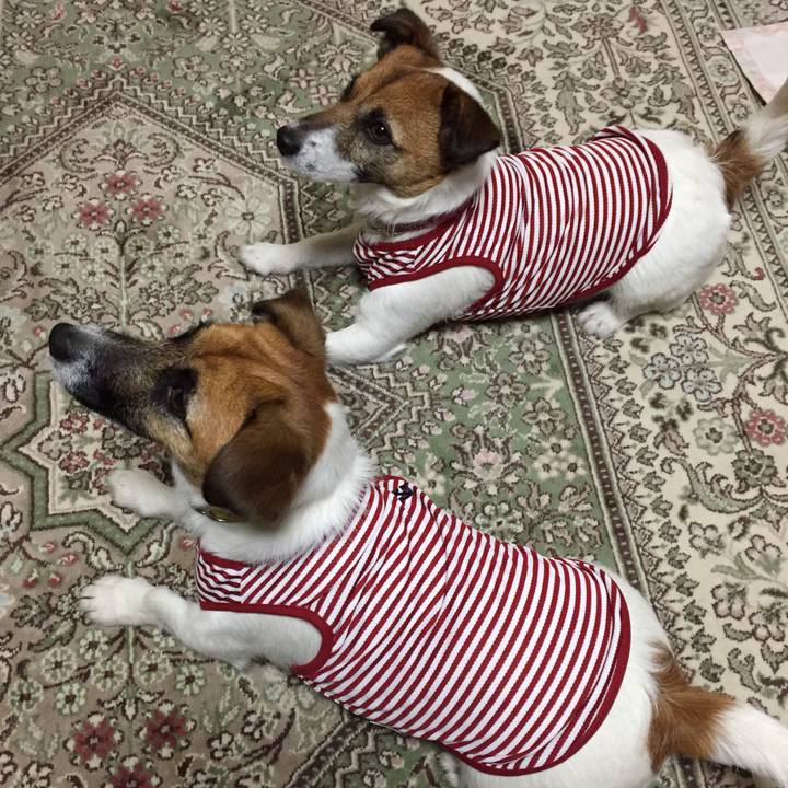 425b43ae fbed 4d07 bd7c 9fcedaeb0233 1522583141441