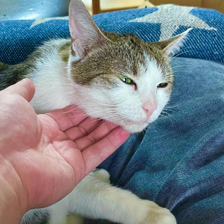 425b5245 ac22 435d ac0c 9db62c077078 1627372560656