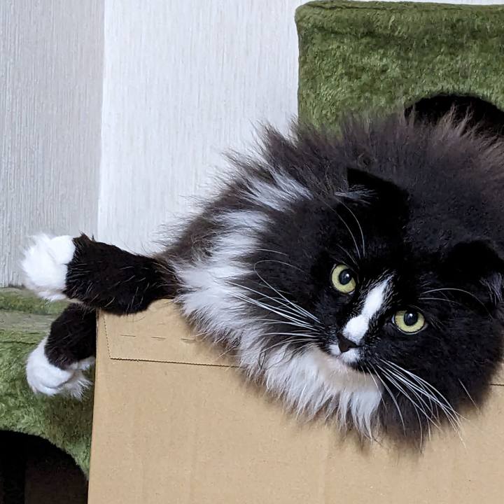 425b5bfb ce86 4ed4 a121 4163da8072cf 1686864782662