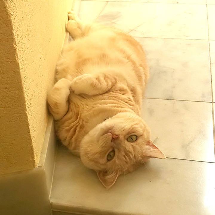 425b7312 4df5 47d2 aa5f ba65344f64ff 1598589445300